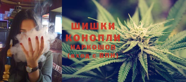 винт Осинники