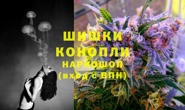 винт Осинники