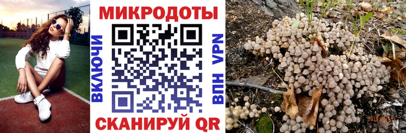 Псилоцибиновые грибы Psilocybe  Белёв 